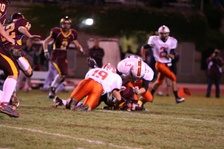 Enlarge photo 51