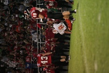 Enlarge photo 109