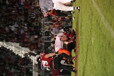 Enlarge photo 117