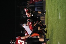 Enlarge photo 126