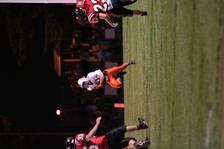 Enlarge photo 135