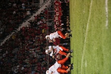 Enlarge photo 143