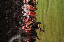 Enlarge photo 147