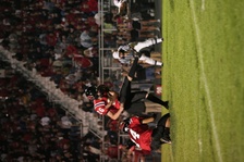 Enlarge photo 152