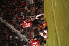 Enlarge photo 153