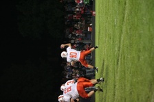 Enlarge photo 155