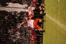 Enlarge photo 163