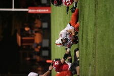 Enlarge photo 177