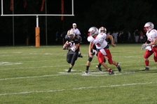 Enlarge photo 230