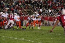 Enlarge photo 41