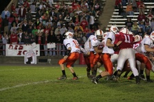 Enlarge photo 124