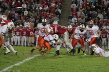 Enlarge photo 131