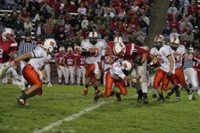 Enlarge photo 132