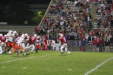 Enlarge photo 147