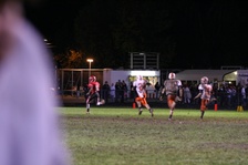 Enlarge photo 65