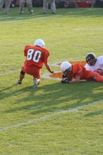 Enlarge photo 31