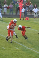 Enlarge photo 54