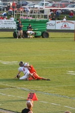 Enlarge photo 62