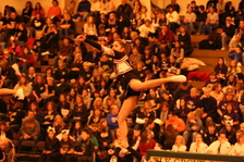 Enlarge photo 90