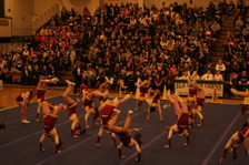 Enlarge photo 97
