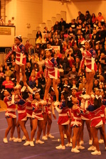 Enlarge photo 141