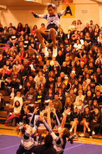Enlarge photo 161