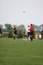 Enlarge photo 62
