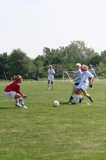 Enlarge photo 59