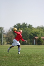 Enlarge photo 65