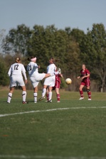 Enlarge photo 48