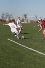 Enlarge photo 50
