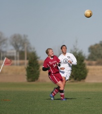 Enlarge photo 65