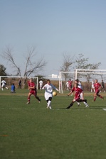 Enlarge photo 73