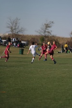 Enlarge photo 79