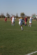 Enlarge photo 92