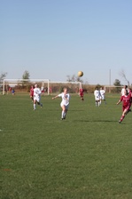 Enlarge photo 98
