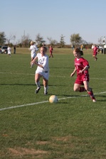 Enlarge photo 102