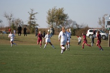 Enlarge photo 111