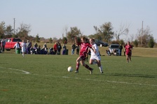 Enlarge photo 118