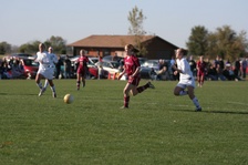 Enlarge photo 120
