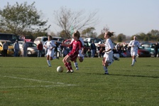 Enlarge photo 121