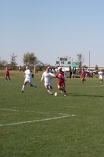 Enlarge photo 126