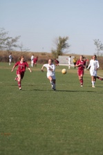 Enlarge photo 130