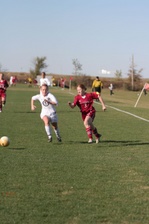 Enlarge photo 131