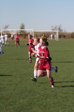 Enlarge photo 132