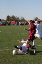 Enlarge photo 133