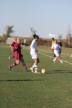 Enlarge photo 137
