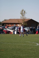 Enlarge photo 141