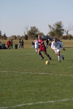 Enlarge photo 143