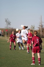 Enlarge photo 161